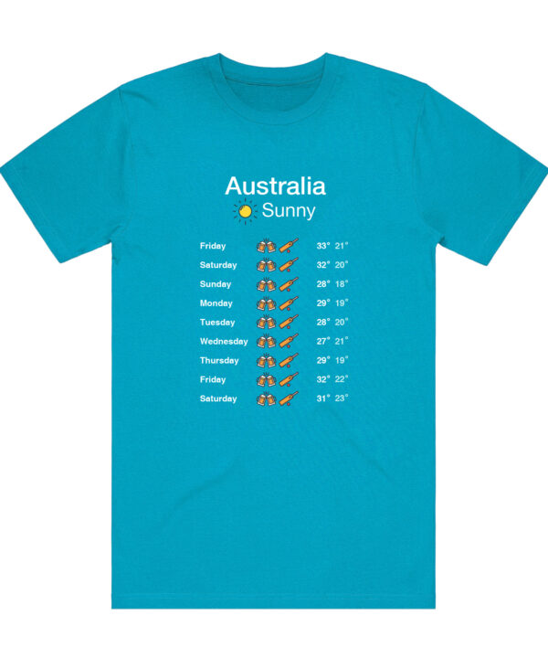 Forecast T Shirt - Adult